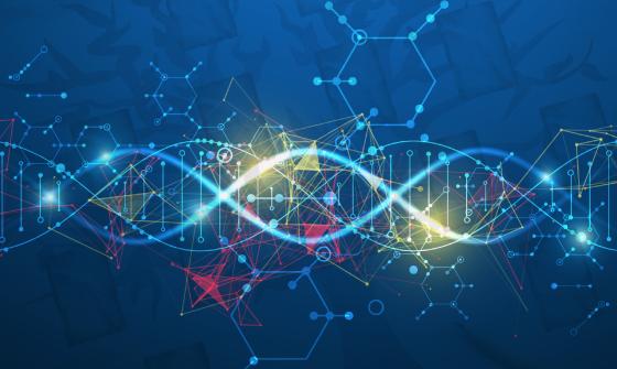 dna strands