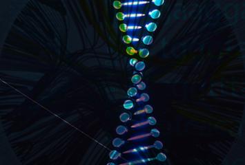 DNA helix