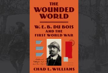 wounded world book cover