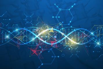 dna strands