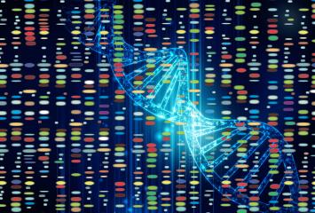 Making Connections: Interpreting DNA Test Results dna strand