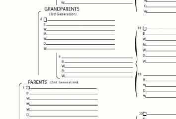 Product image 15 Generation Chart