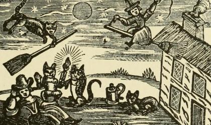 print with witches and cats