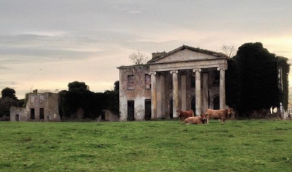 House in Ireland with cows