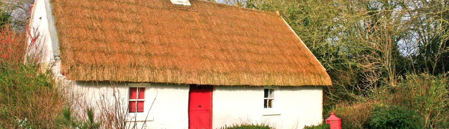 Irish Thatched Country Cottage