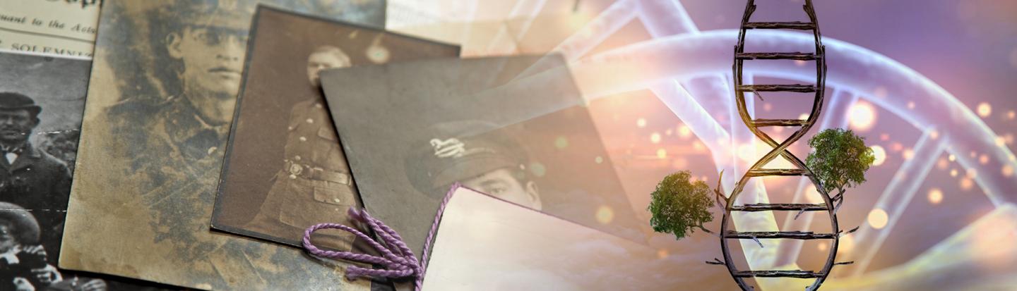 photographs and dna strand