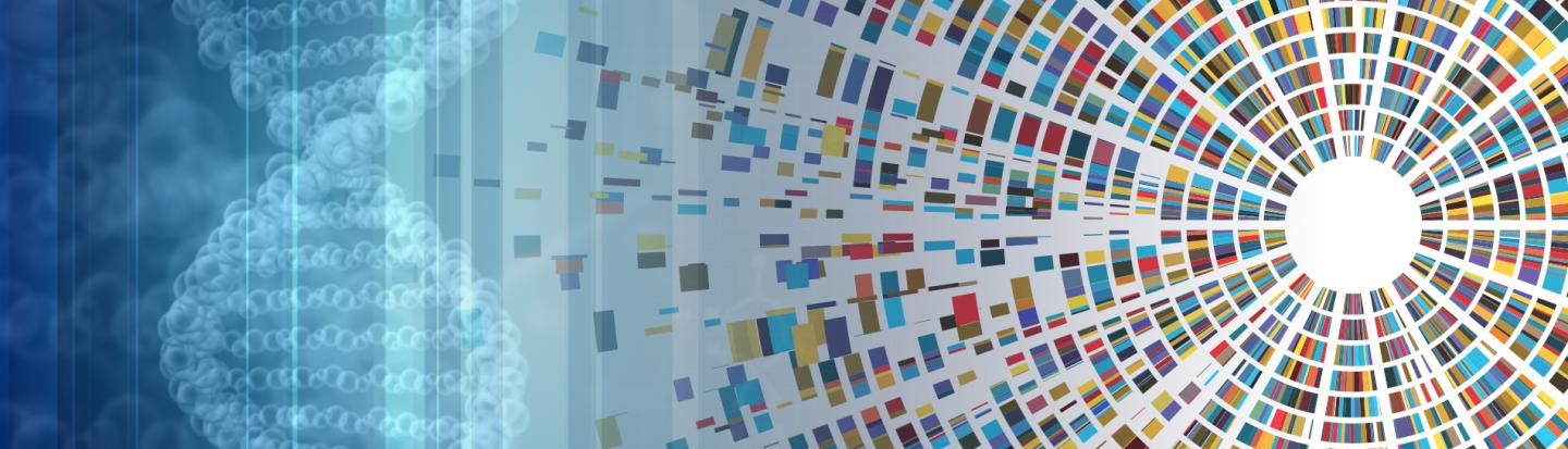 Demystifying DNA dna