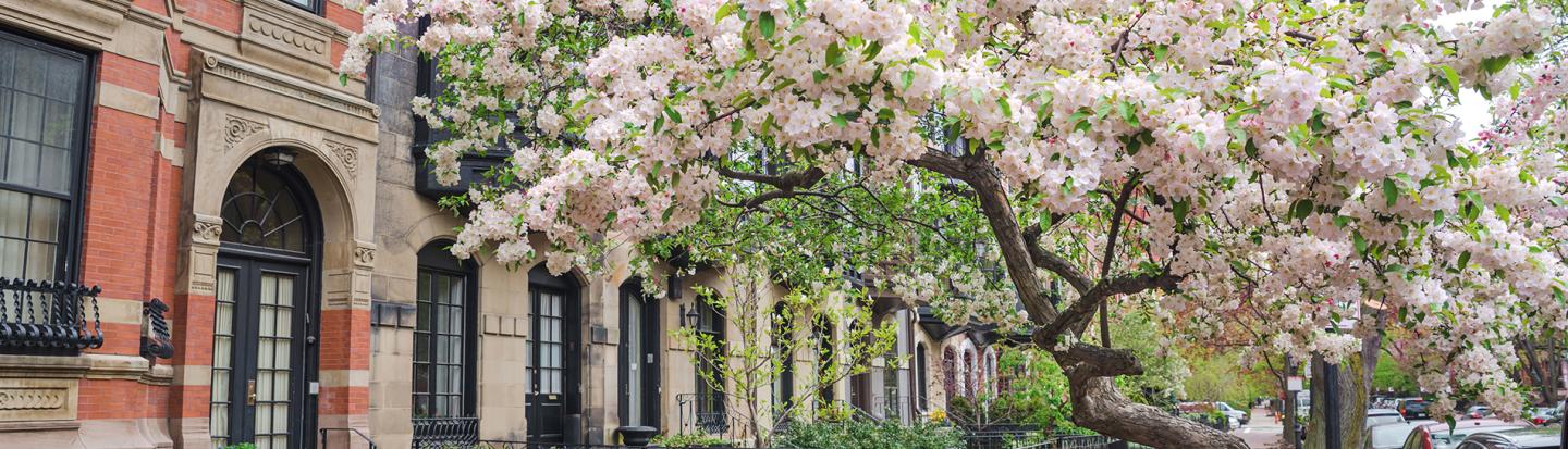 D. Brenton Simons Lunch spring time in Boston