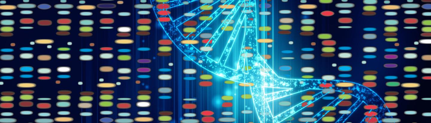Making Connections: Interpreting DNA Test Results dna strand