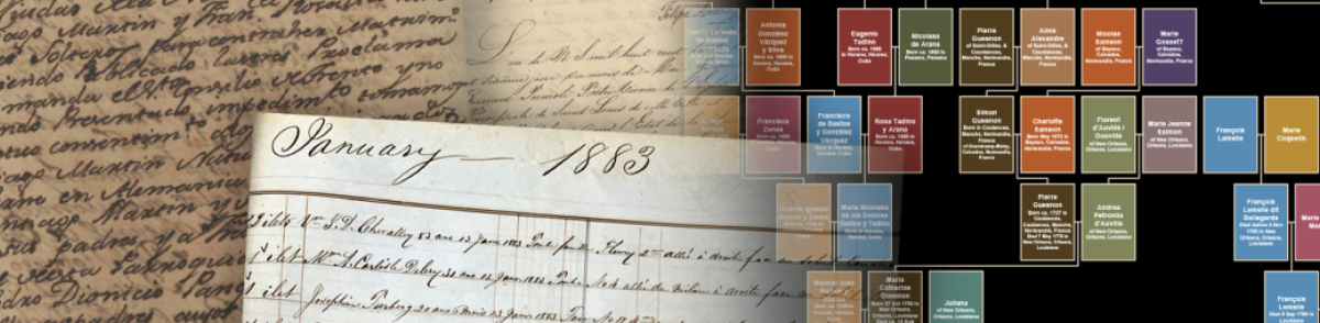 Pope Leo XIV family tree and documents