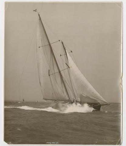 Roosevelt collection image