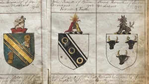 Heraldic shields