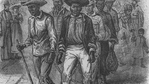 Black Enterprise News Story