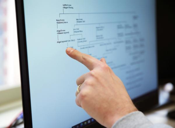 An image of online search and tree use