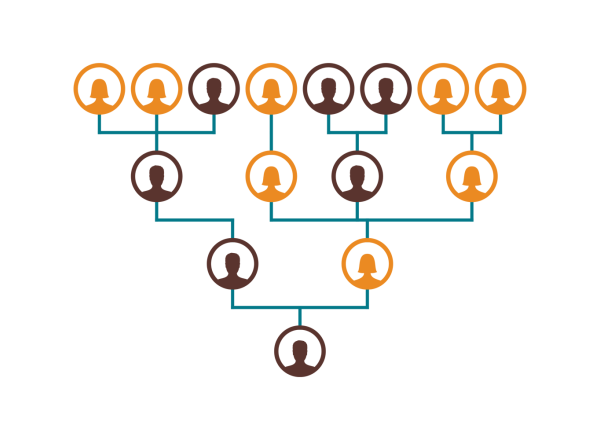 Family chart