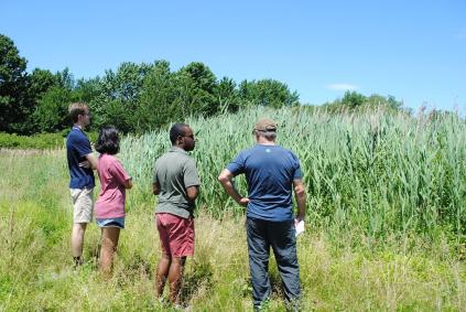 Four people stand looking at field with backs to camera