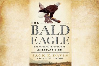 bald eagle book cover