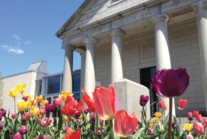 pilgrim hall museum with tulips