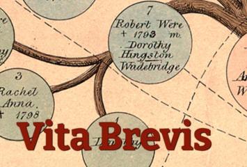 Vita Brevis